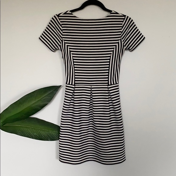 Striped Skater Dress - Picture 4 of 4